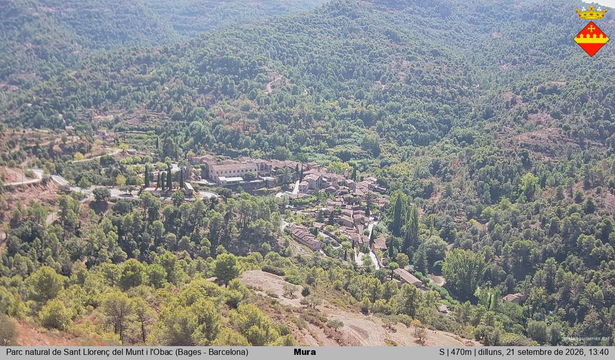 Mura 