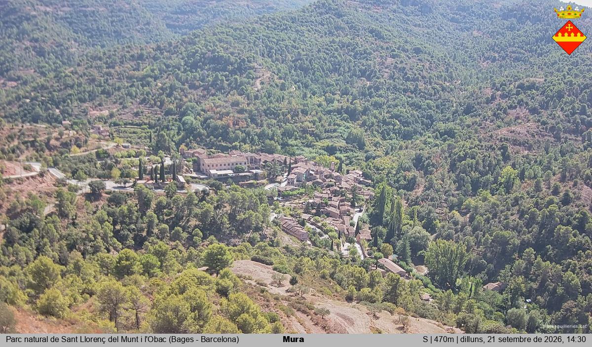 Mura 