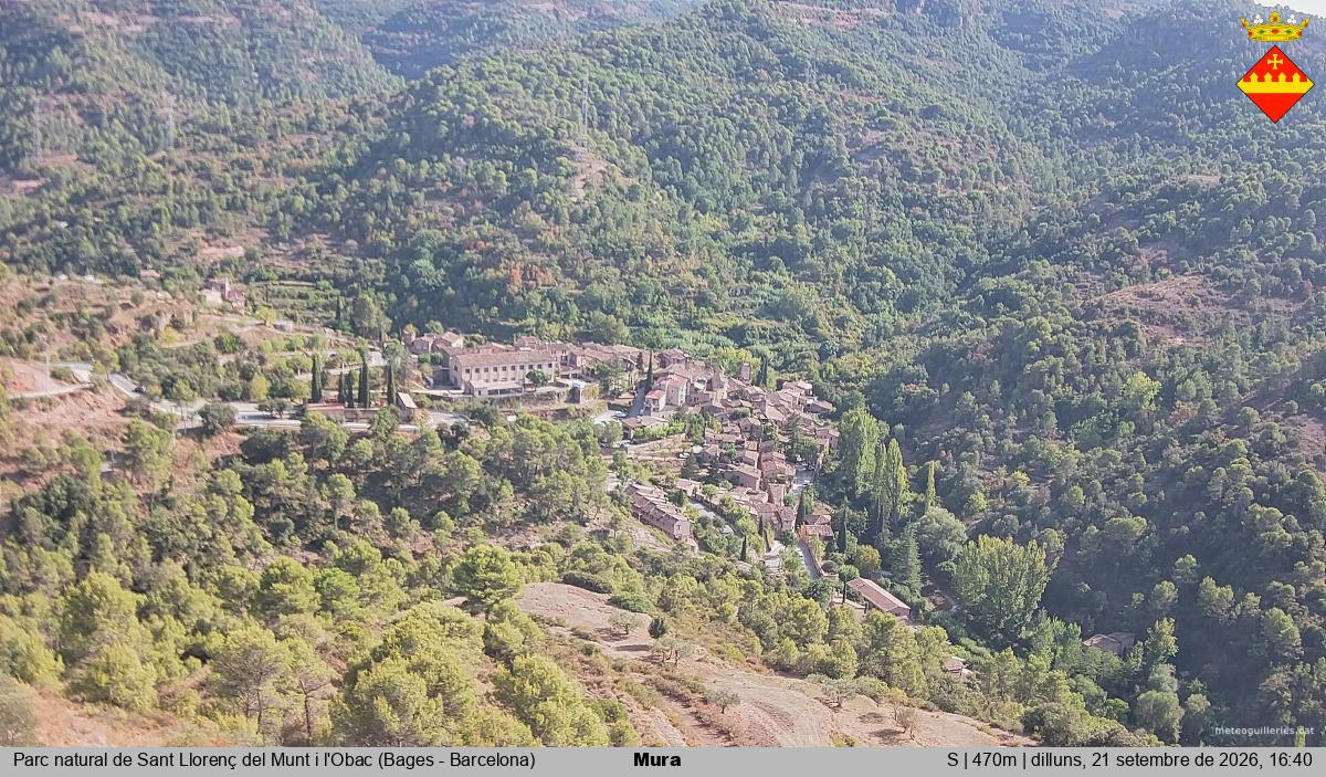 Mura 