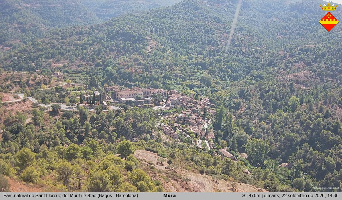 Mura 
