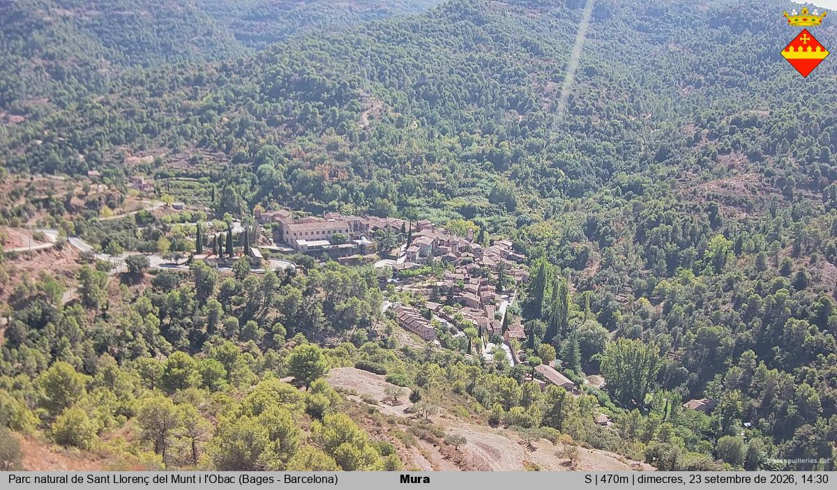 Mura 