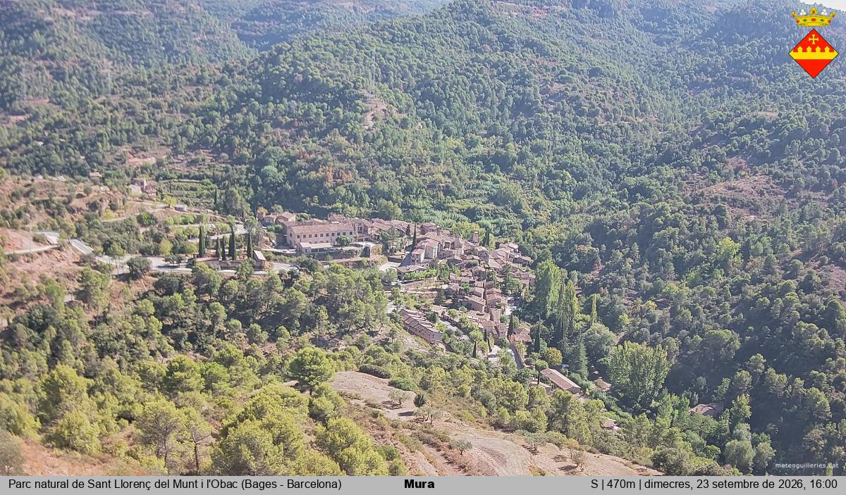 Mura 