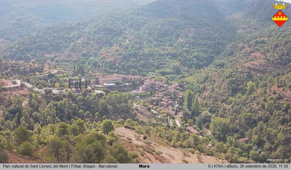 Mura 