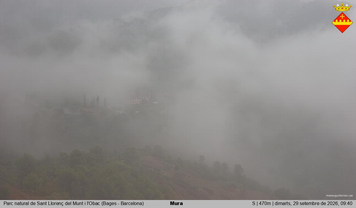 Mura 