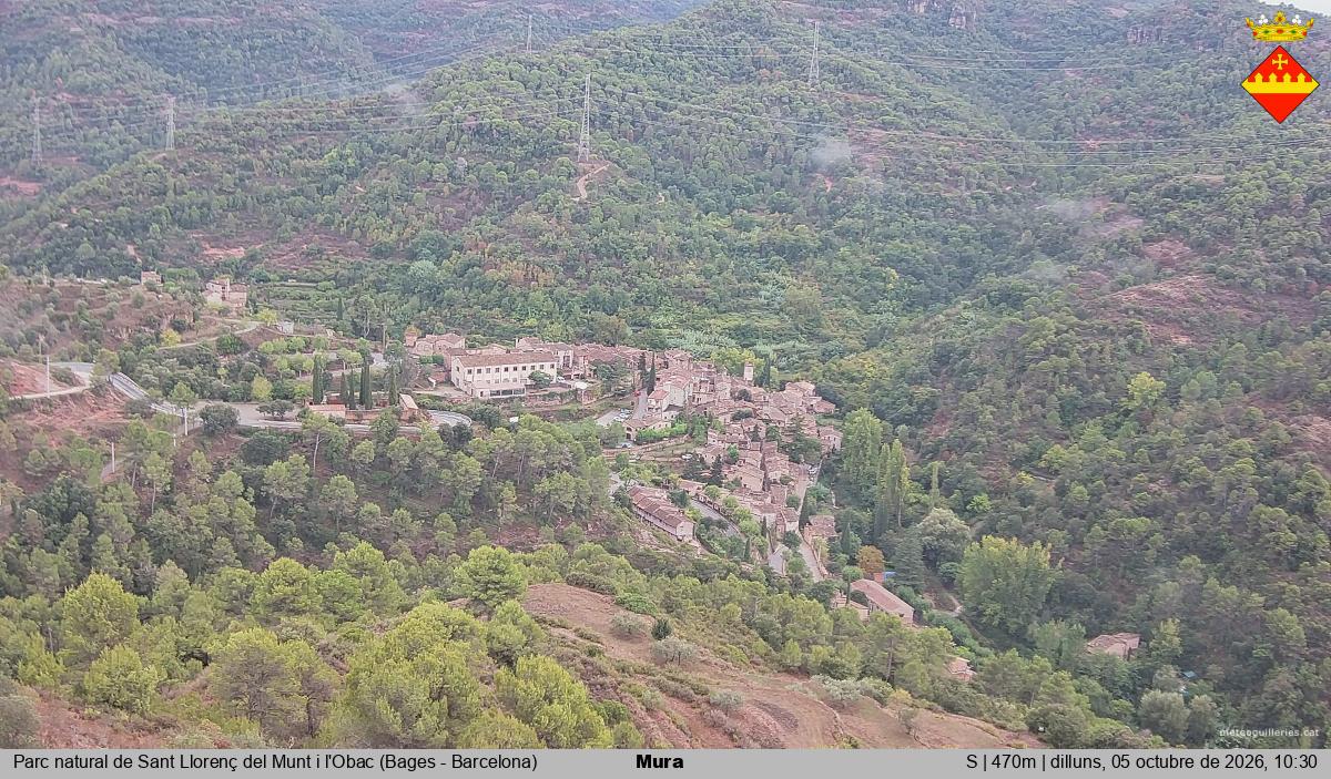 Mura 