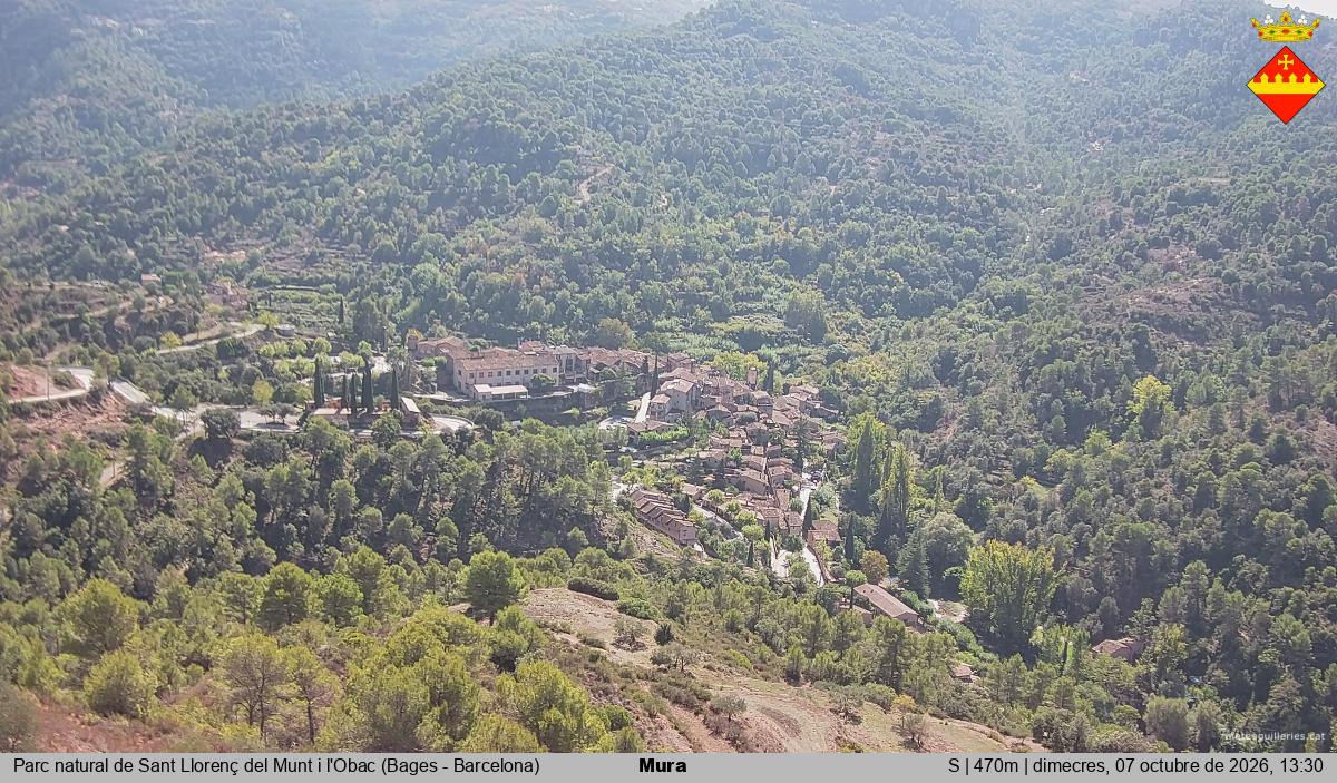 Mura 