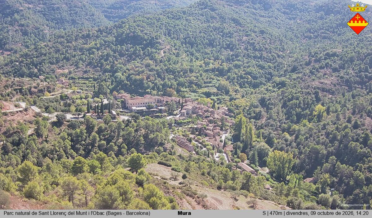 Mura 