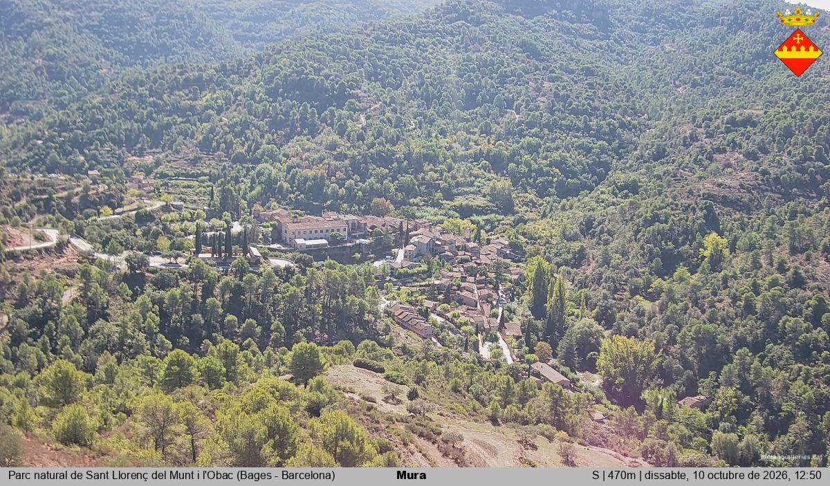 Mura 