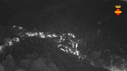 Webcams