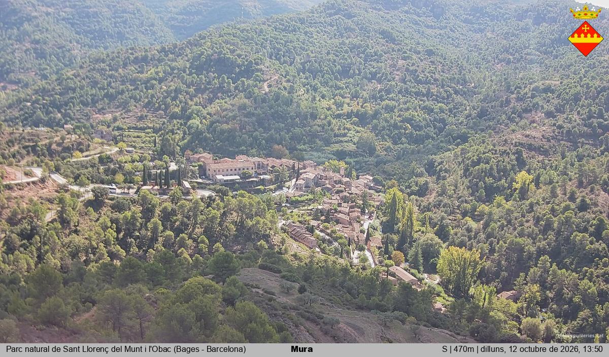 Mura 