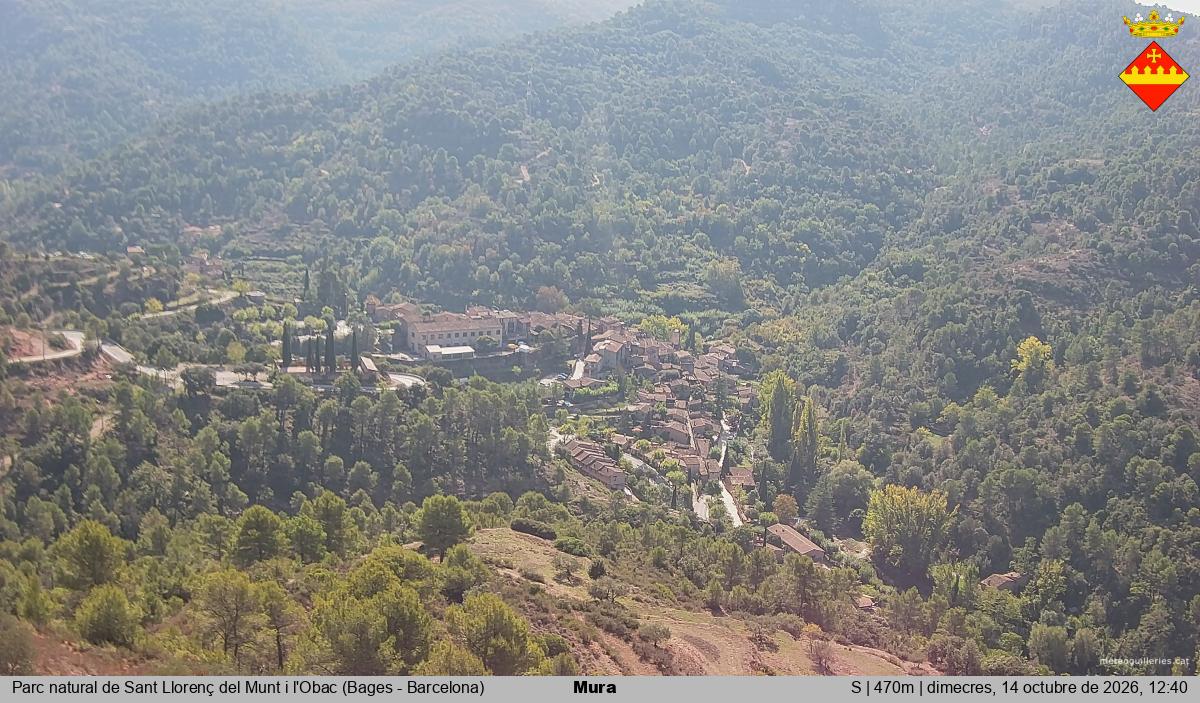 Mura 