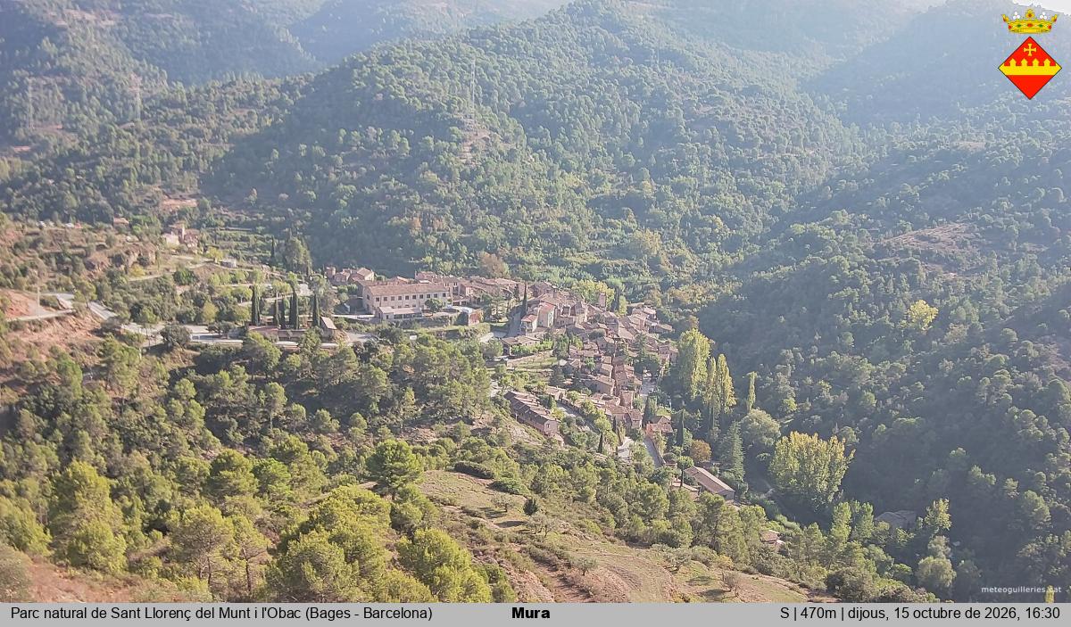 Mura 