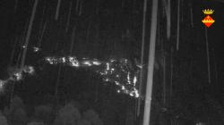 Webcams