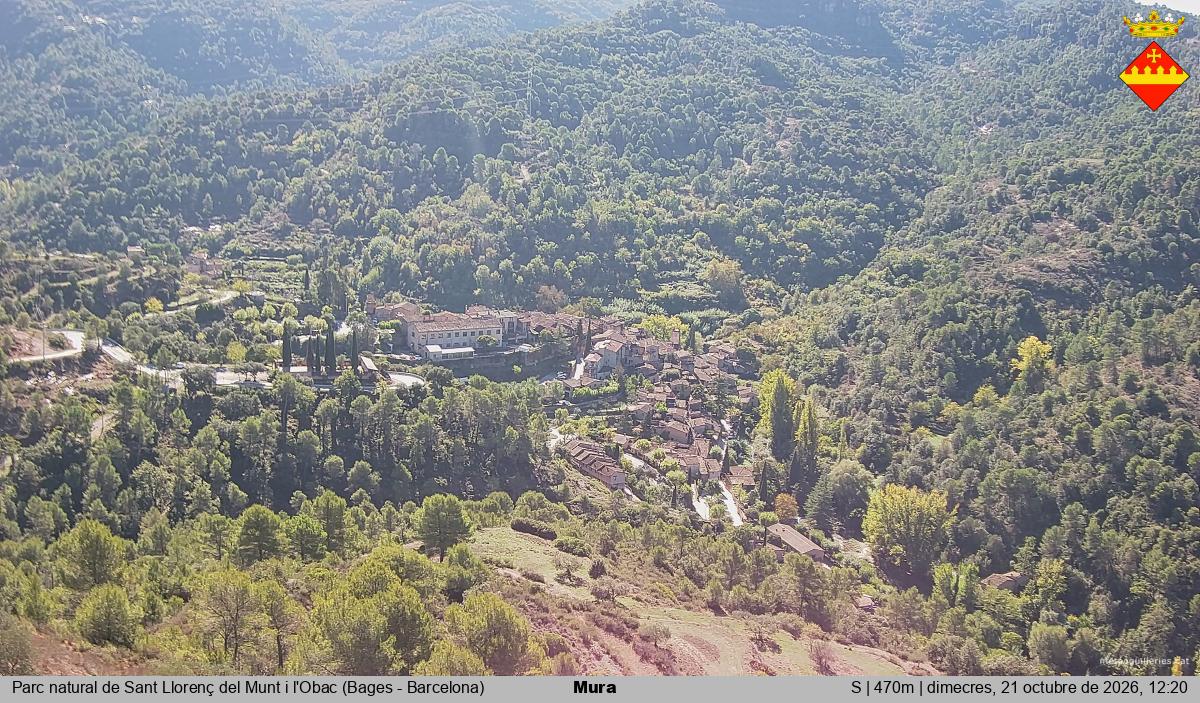 Mura 