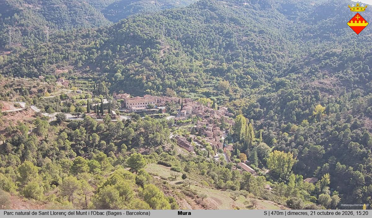 Mura 