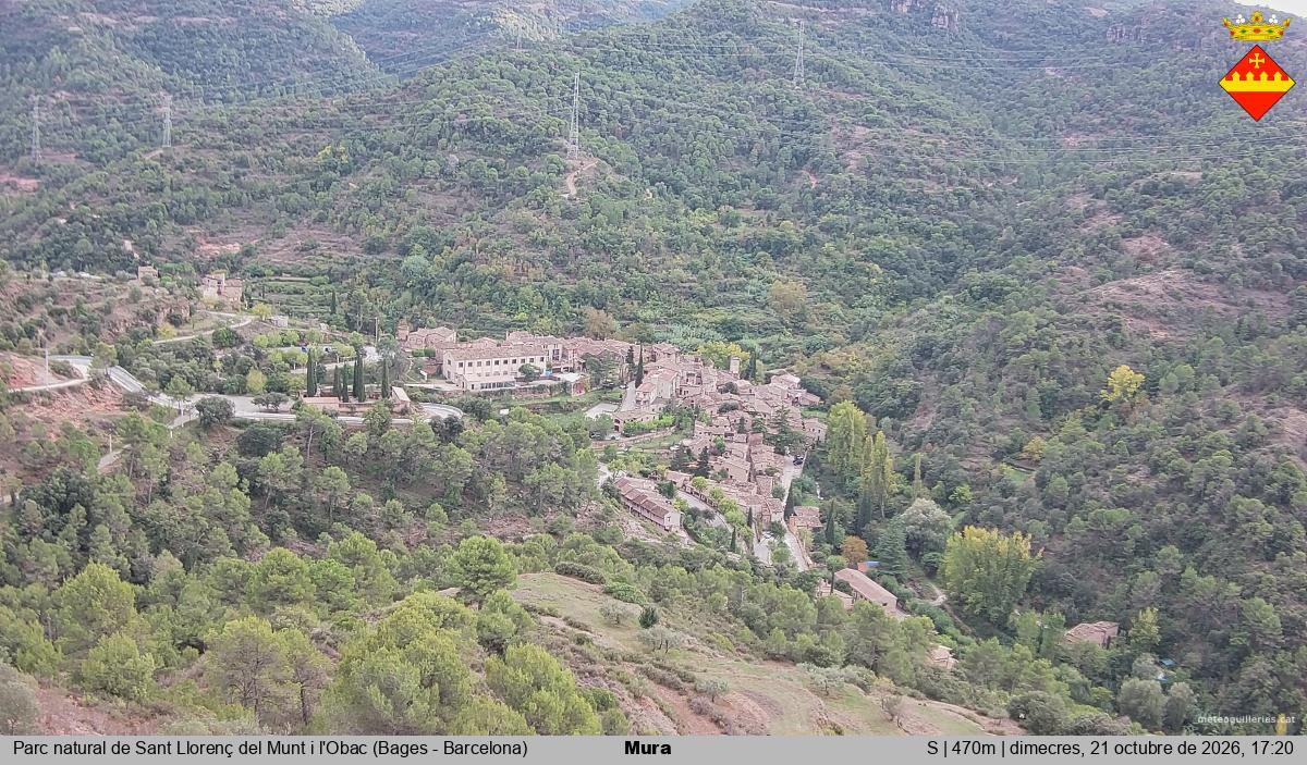 Mura 