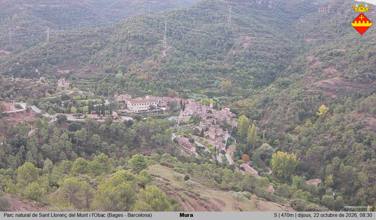 Mura 