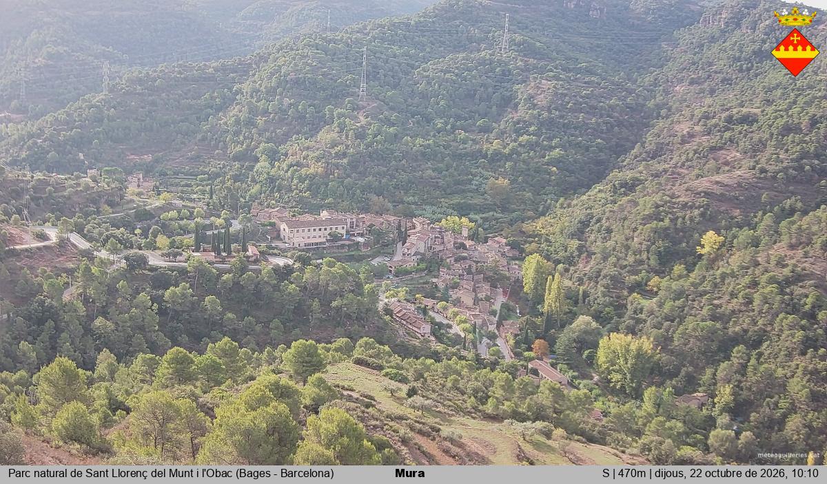 Mura 