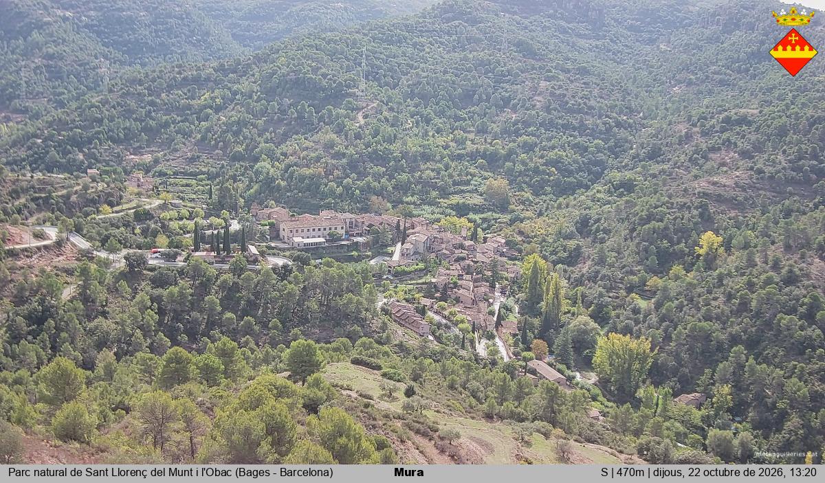 Mura 