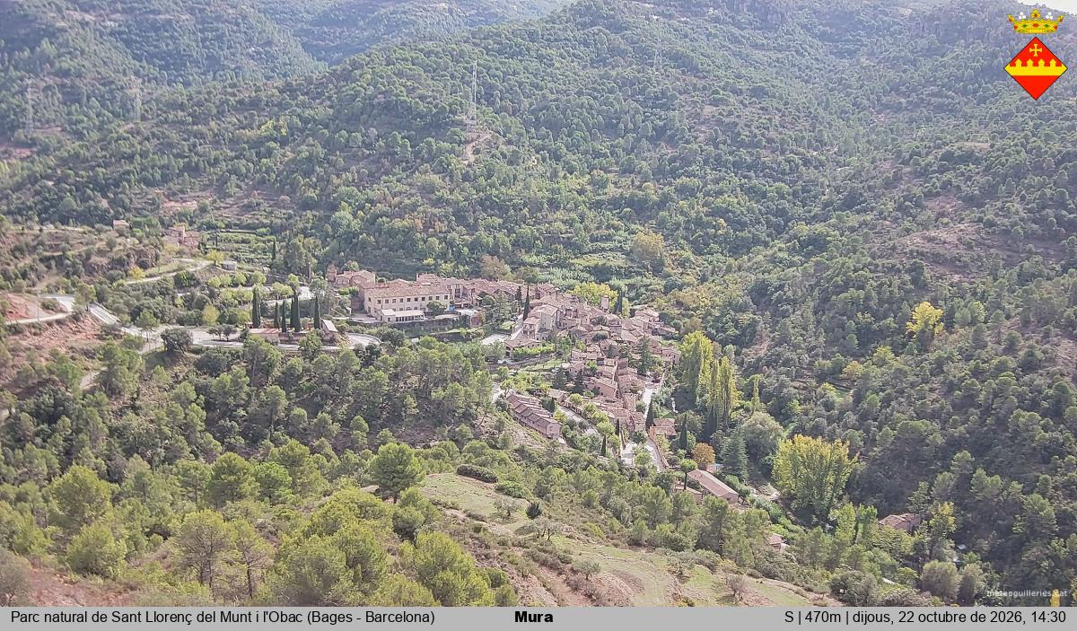 Mura 