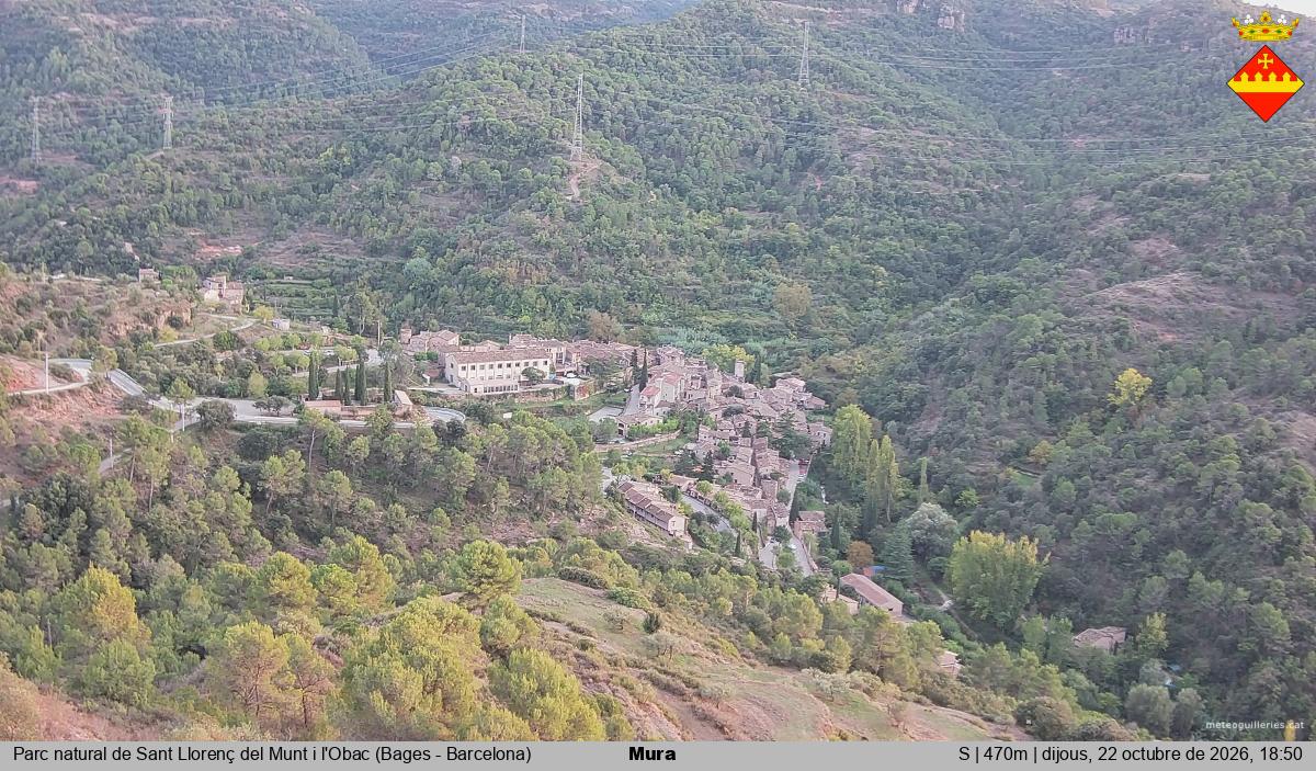 Mura 