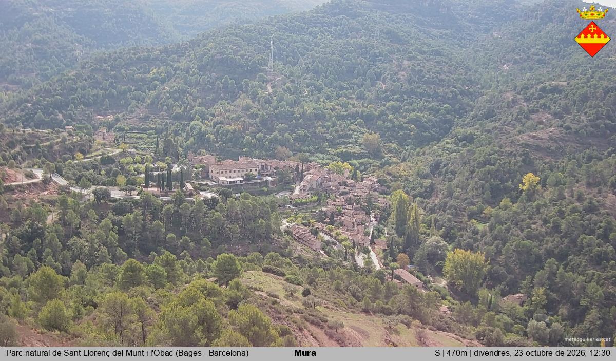 Mura 