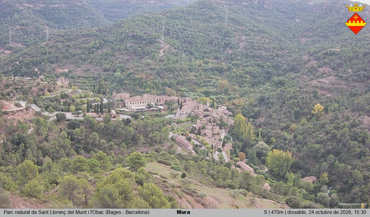 Mura 