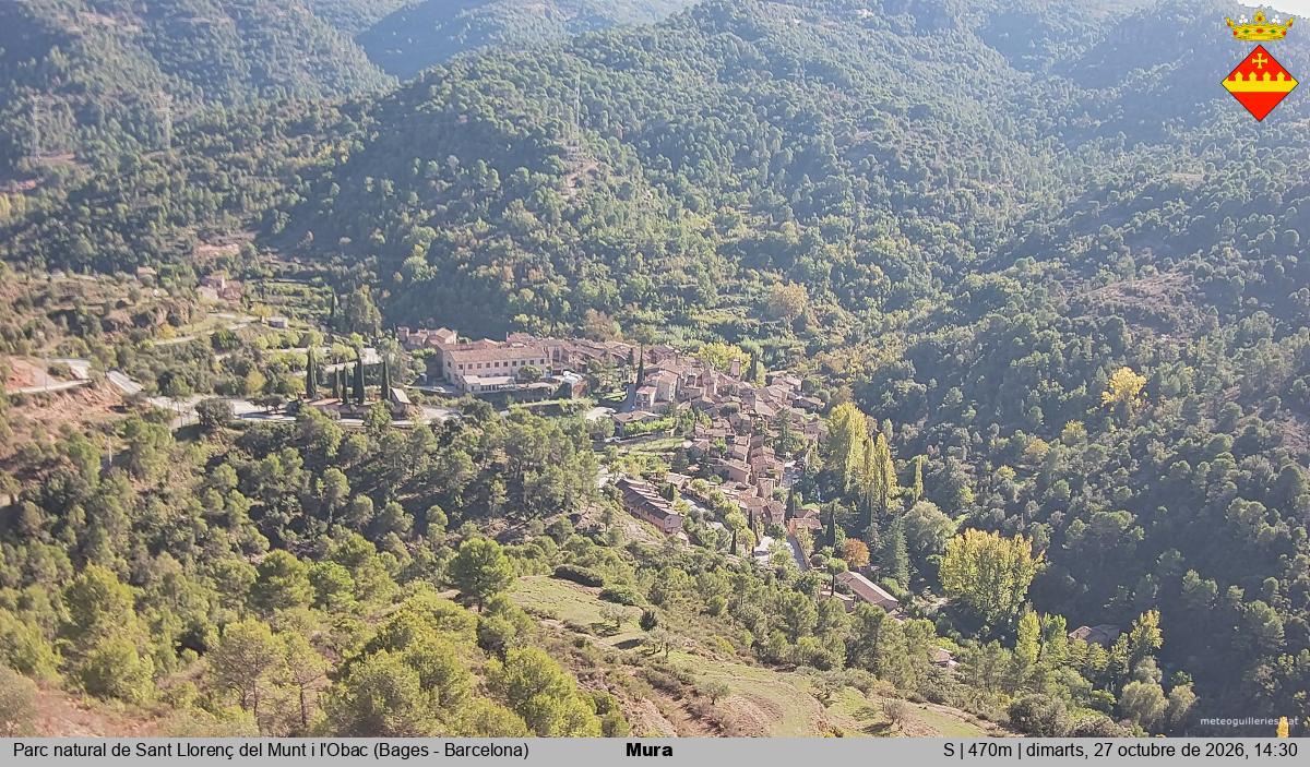 Mura 