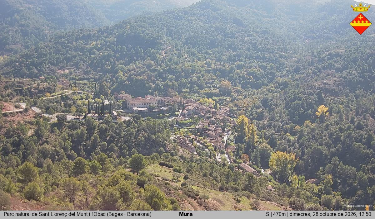 Mura 