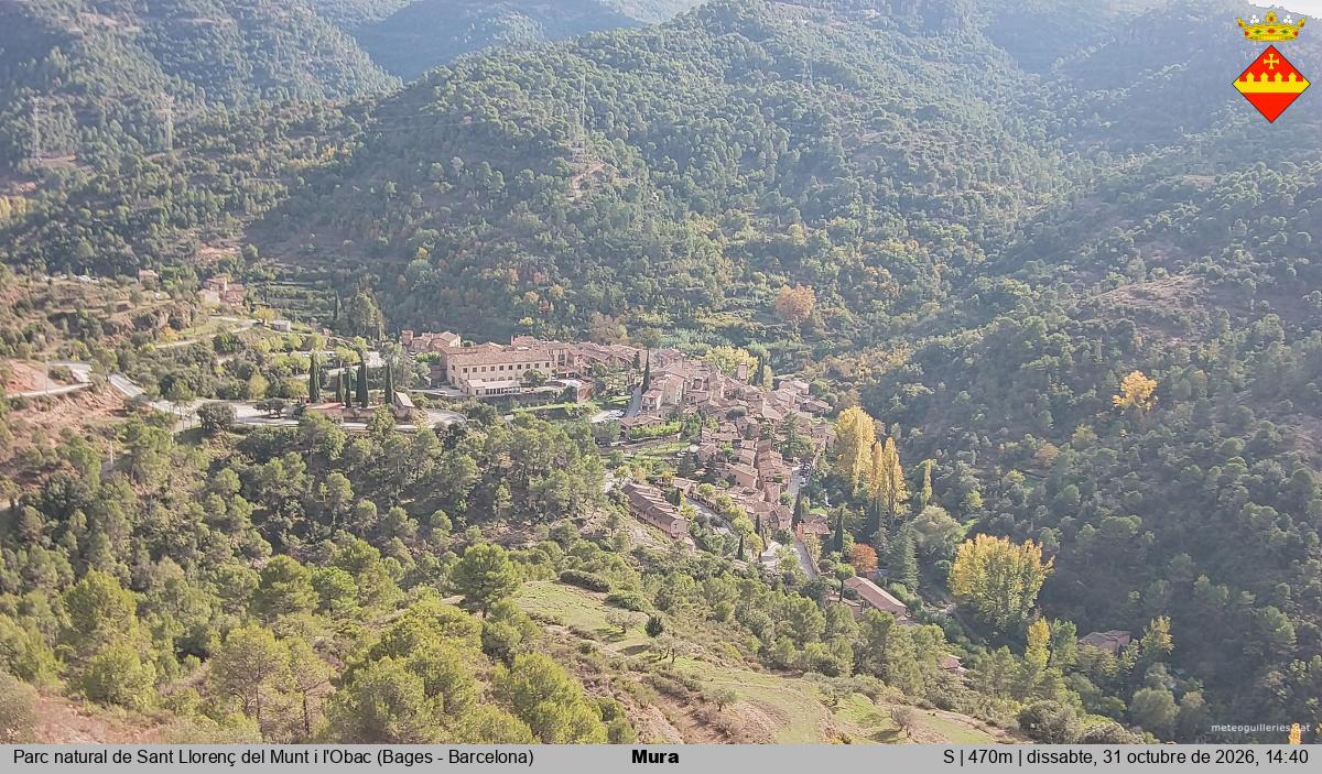 Mura 