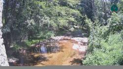 Webcams