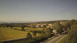 Webcams