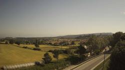 Webcams