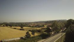 Webcams