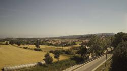 Webcams