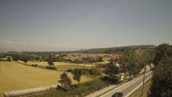 Webcams