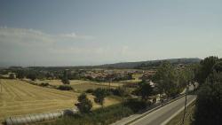 Webcams