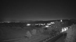 Webcams
