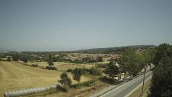 Webcams