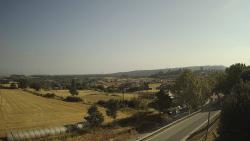 Webcams