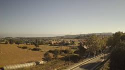 Webcams