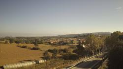 Webcams