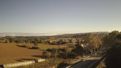 Webcams