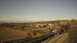 Webcams