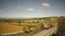 Webcams