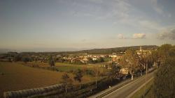 Webcams