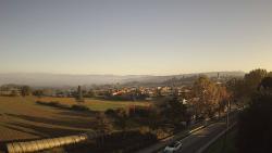 Webcams