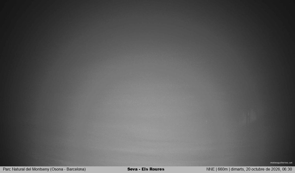 Seva - Els Roures