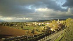 Webcams
