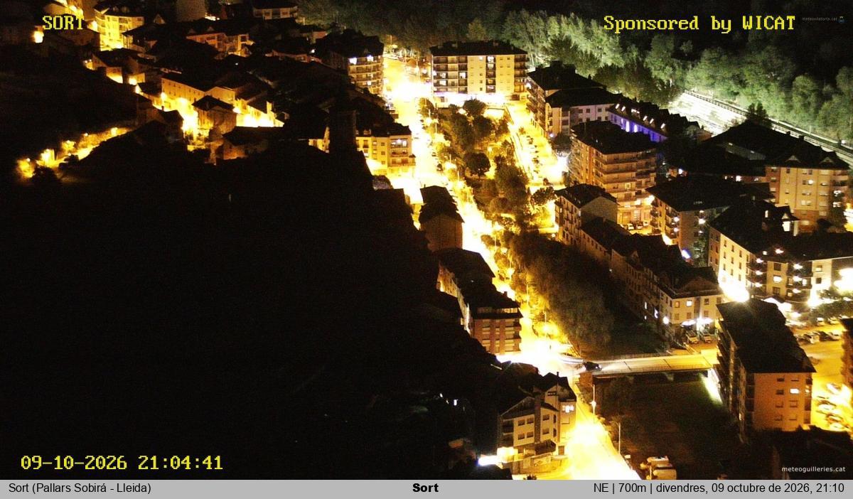 Sort